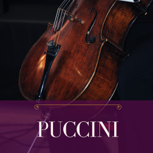 ดาวน์โหลดและฟังเพลง Turandot พร้อมเนื้อเพลงจาก Orchestra dell'Opera di Roma