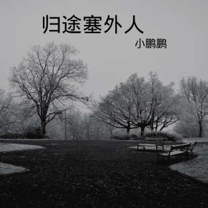 Listen to 归途塞外人 (完整版) song with lyrics from 薛佳鹏