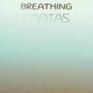 收听Brita Hayk的Breathing Caritas歌词歌曲