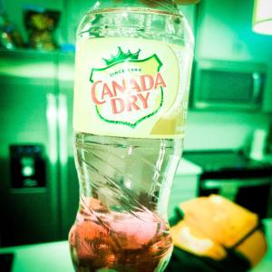 Youngsid的專輯Paid Vacation (feat. Bailey Snow & Carrion) [Explicit]