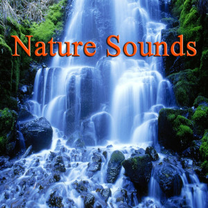 收聽Natural Sounds的Rain歌詞歌曲