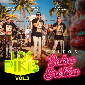 Listen to Que Locura Enamorarme de Ti (En Vivo) song with lyrics from Adelmo Gauna