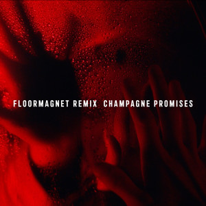 อัลบัม Champagne Promises (Floormagnet Remix) ศิลปิน Rebecca & Fiona