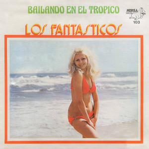 Los Fantasticos的專輯Bailando en el Tropico