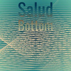 Various Artists的專輯Salud Bottom