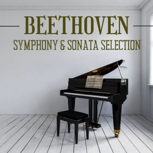 Album Beethoven Symphony & Sonata Selection from Various Artists
