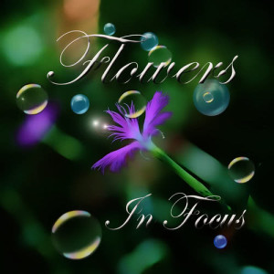 ดาวน์โหลดและฟังเพลง A River พร้อมเนื้อเพลงจาก In Focus