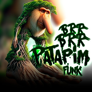 ดาวน์โหลดและฟังเพลง BRR BRR PATAPIM FUNK พร้อมเนื้อเพลงจาก Dj Eryy Detona