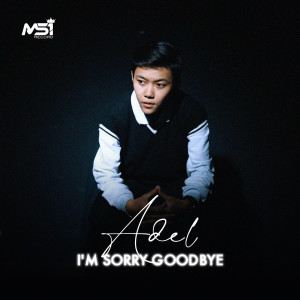 I'm Sorry Goodbye dari Adel