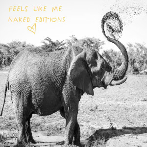 收听Gin Wigmore的Feels Like Me (Naked Editions)歌词歌曲