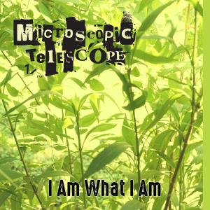 ดาวน์โหลดและฟังเพลง I Am What I Am พร้อมเนื้อเพลงจาก Microscopic Telescope