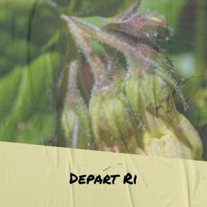 收听Denat Emer的Blockhead歌词歌曲