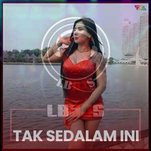 Dengarkan lagu Dj Tak Sedalam ini (Remix) nyanyian LBDJS dengan lirik