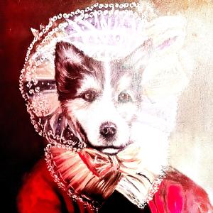Doug Tuttle的專輯Dog Eyes