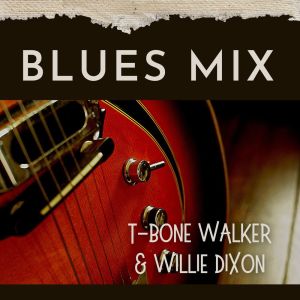 Album Blues Mix: T-Bone Walker & Willie Dixon oleh Willie Dixon