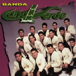 ดาวน์โหลดและฟังเพลง No, No, No พร้อมเนื้อเพลงจาก Banda Cana Verde