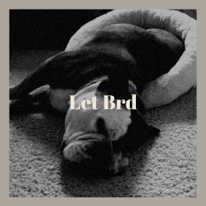 Various的专辑Let Brd