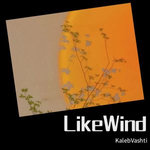 收聽Kaleb Vashti的Like Wind (完整版)歌詞歌曲