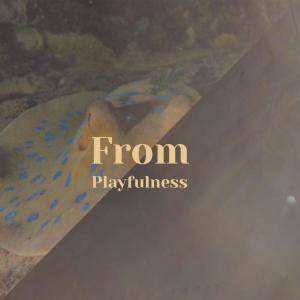 Album From Playfulness oleh Various