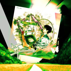 Album 年（cover：张真源） from 蔺源.