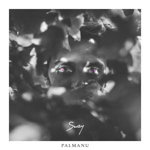 Palmanu的專輯Small Things (feat. Amelie Tobien)