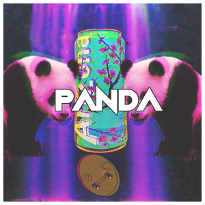 Panda (Remix) (Explicit)