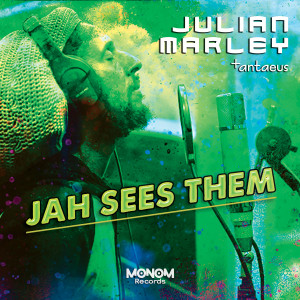 Julian Marley的专辑Jah Sees Them