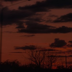 Listen to dyininmyroom song with lyrics from hitokioko