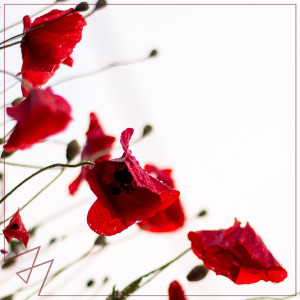 Listen to Symphony song with lyrics from Madilyn Bailey