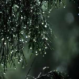 Listen to Sleepy Time Rains song with lyrics from Rain Sounds
