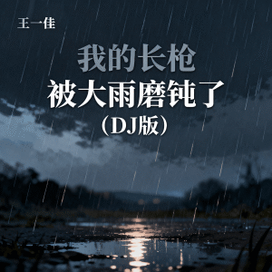 王一佳的专辑我的长枪被大雨磨钝了 (DJ版)