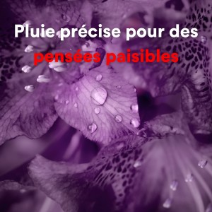 Album Pluie précise pour des pensées paisibles oleh The Sound of the Rain