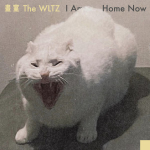 Listen to 镜子 song with lyrics from 画室 The WLTZ