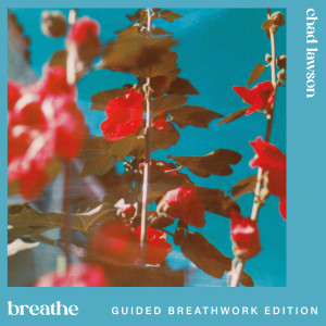 อัลบัม breathe (guided breathwork edition) ศิลปิน Chad Lawson