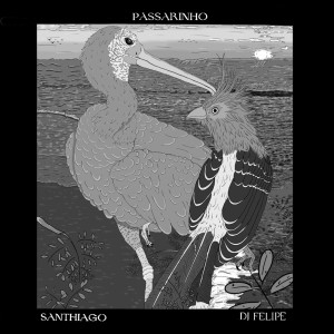 ดาวน์โหลดและฟังเพลง PASSARINHO (Extended) พร้อมเนื้อเพลงจาก Santhiago