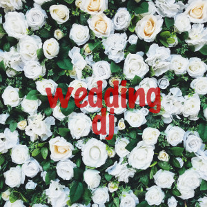 Various的專輯Wedding DJ (Explicit)
