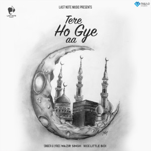 Wazir Singh的專輯Tere Ho Gye Aa