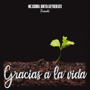 收聽Mc Jcobra的GRACIAS A LA VIDA (feat. Seydebeats) (Explicit)歌詞歌曲