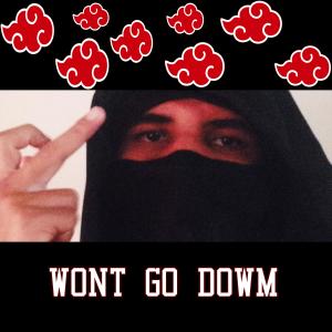 Trader的专辑wont go down (Explicit)