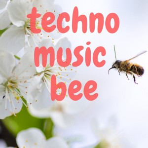 อัลบัม TECHNO MUSIC BEE ศิลปิน Various Artists