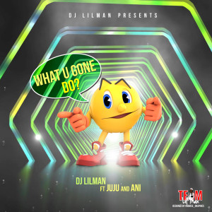 What You Gone Do (feat. juju & ani)