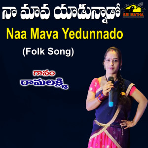 Album Naa Mava Yadunnado from Venkatesh