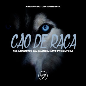 Listen to Cão de Raça (Explicit) song with lyrics from Mc Carlinhos ZN