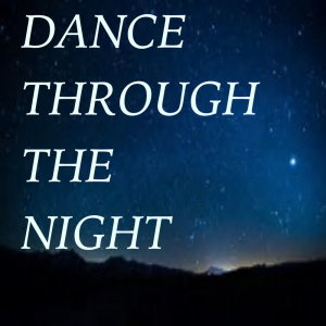 Various Artists的專輯Dance Through The Night