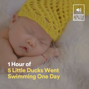 1 Hour of 5 Little Ducks Went Swimming One Day dari Nursery Rhymes