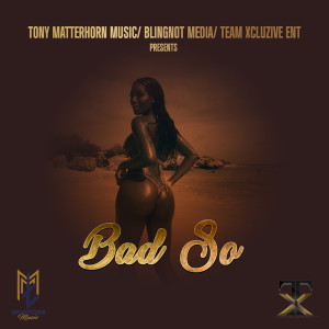 Album Bad So oleh Tony Matterhorn