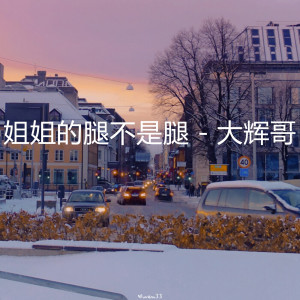 Listen to 姐姐的腿不是腿 song with lyrics from 大辉哥