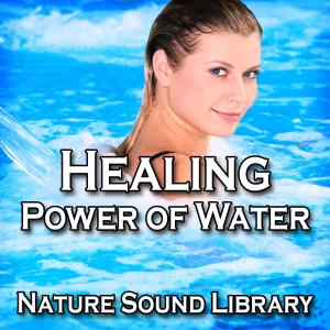 ดาวน์โหลดและฟังเพลง Gently Trickling Brook for Inner Healing and Contemplation พร้อมเนื้อเพลงจาก Nature Sound Library