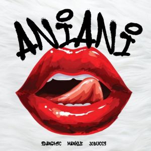 AniAni (Explicit) dari Wankle