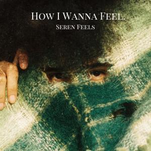 ดาวน์โหลดและฟังเพลง How I Wanna Feel พร้อมเนื้อเพลงจาก Seren Feels